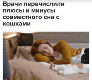 Сон с кошками для здоровья: Советы Карельского Минздрава